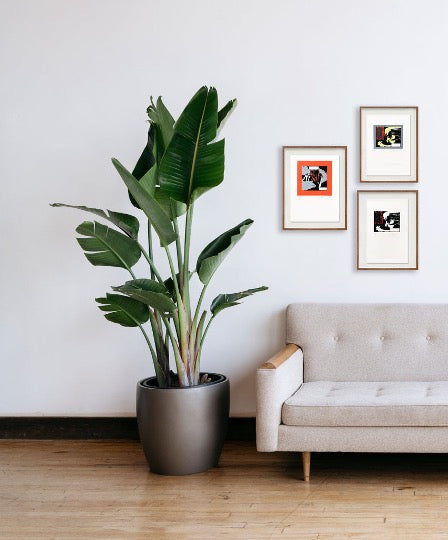 Composição 7: 3 obras!