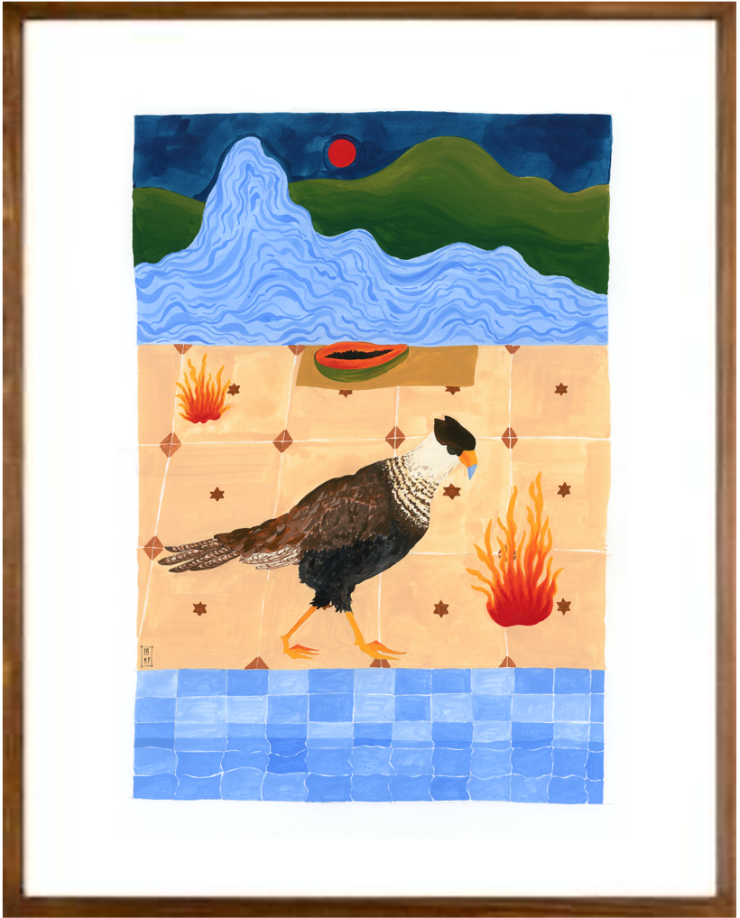 Carcara-fogo // Fernanda Peralta