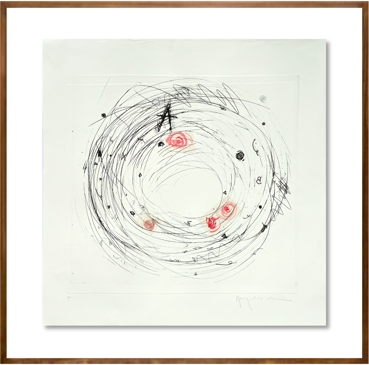 alumbramento: a origem do alfabeto // Jacqueline Aronis