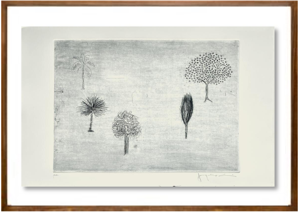 Oásis // Jacqueline Aronis