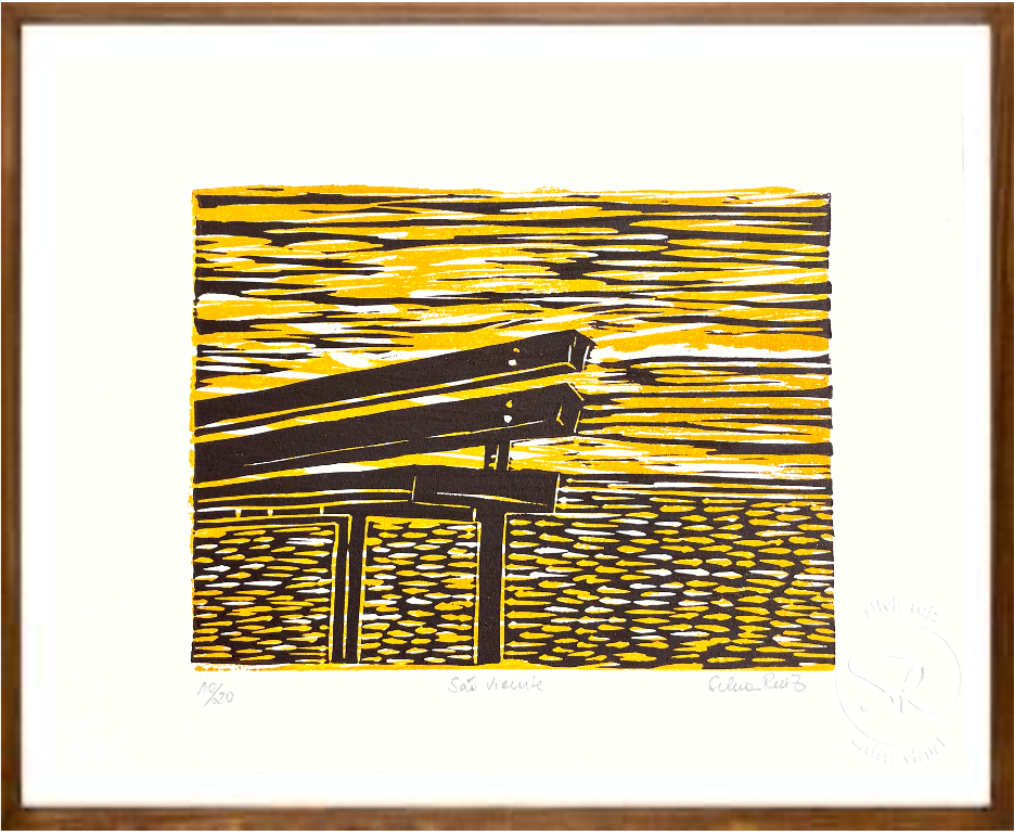 São Vicente // Série 'Bancos' // Silvia Ruiz