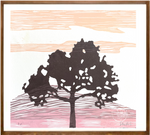 Série 'Árvores' // Silvia Ruiz