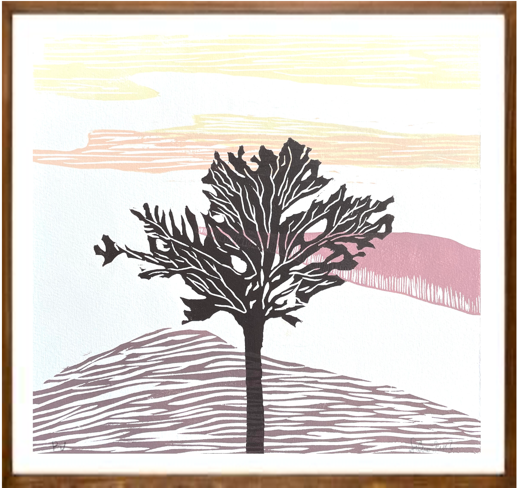 Série 'Árvores' // Silvia Ruiz