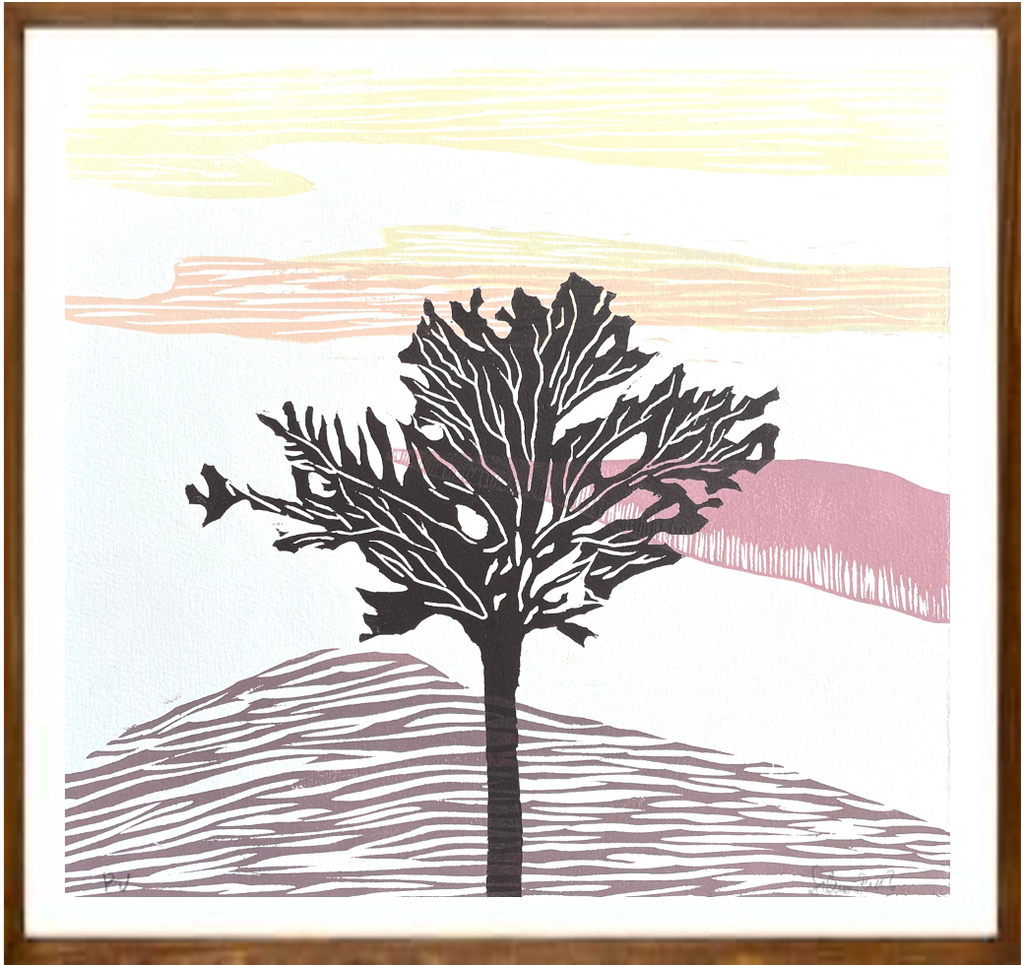 Série 'Árvores' // Silvia Ruiz