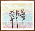 Série 'Árvores' // Silvia Ruiz