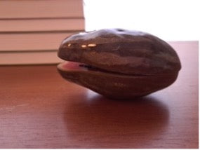 Dentro do mamão I // Fernanda Peralta