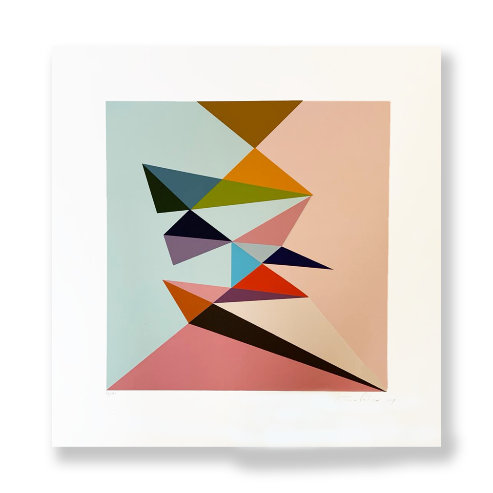 Camburi #4 // Antonio Peticov