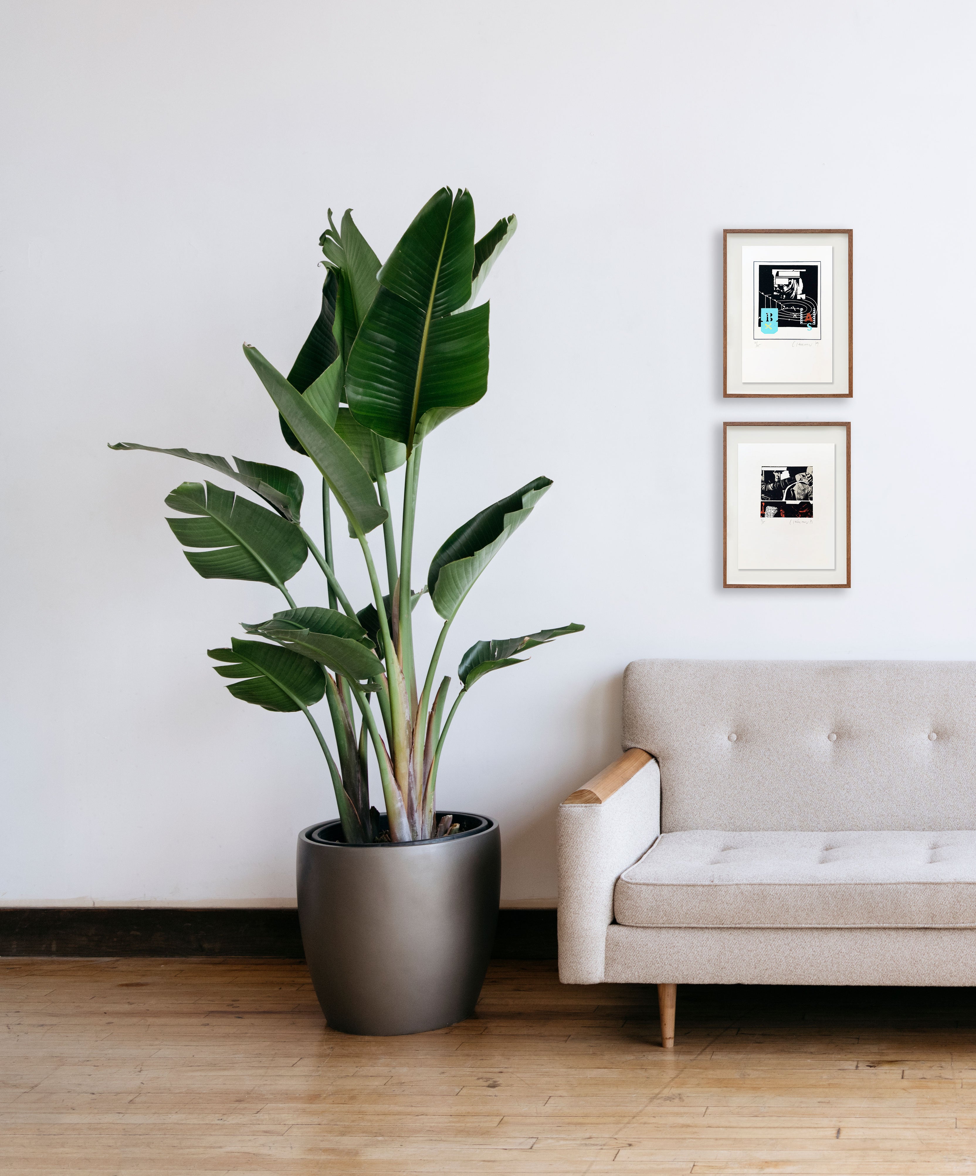 Fotonovela 6 // Carlos Clémen