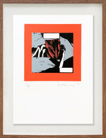 Fotonovela 9 // Carlos Clémen