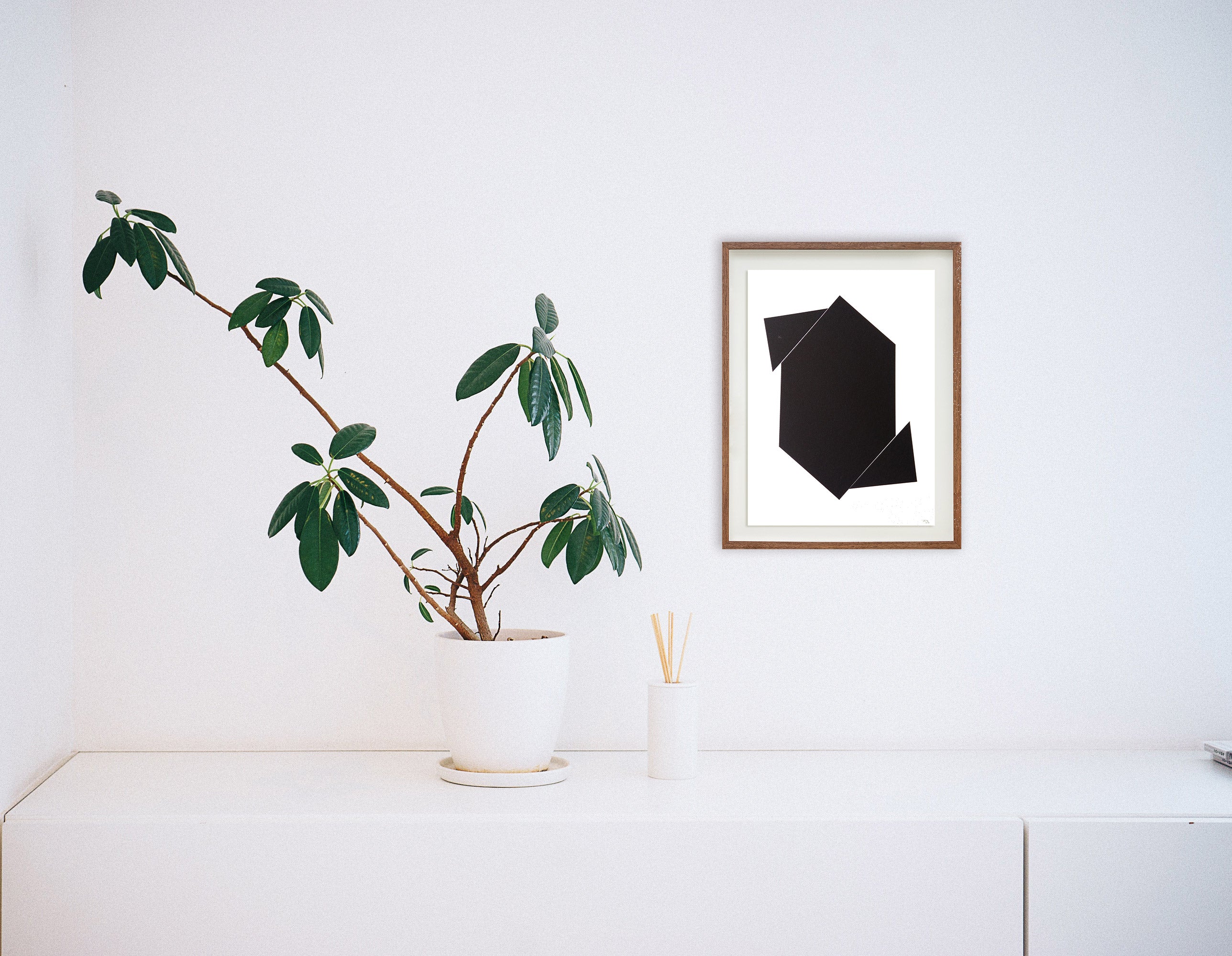 Sem título // Cassia Aresta