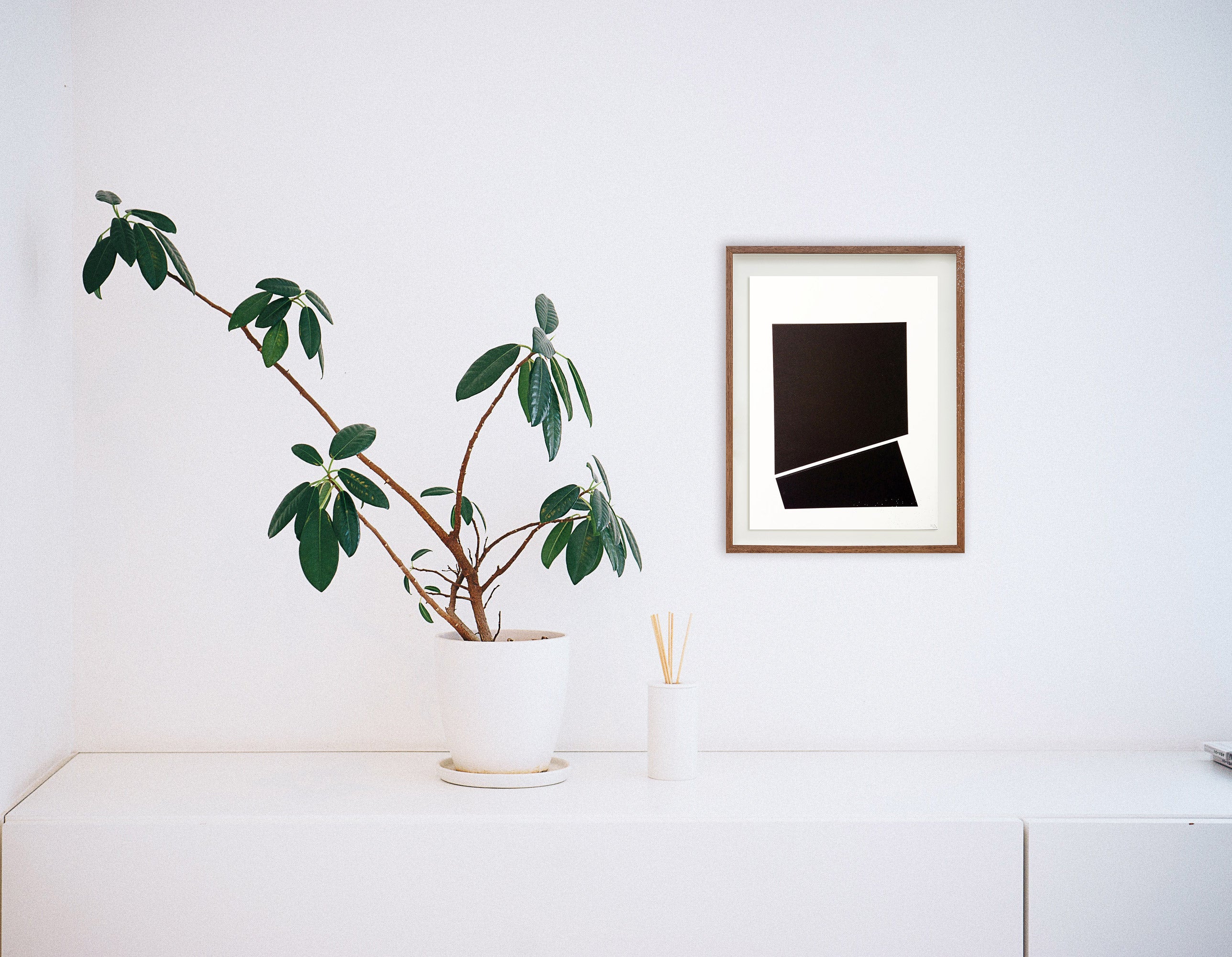 Sem título // Cassia Aresta