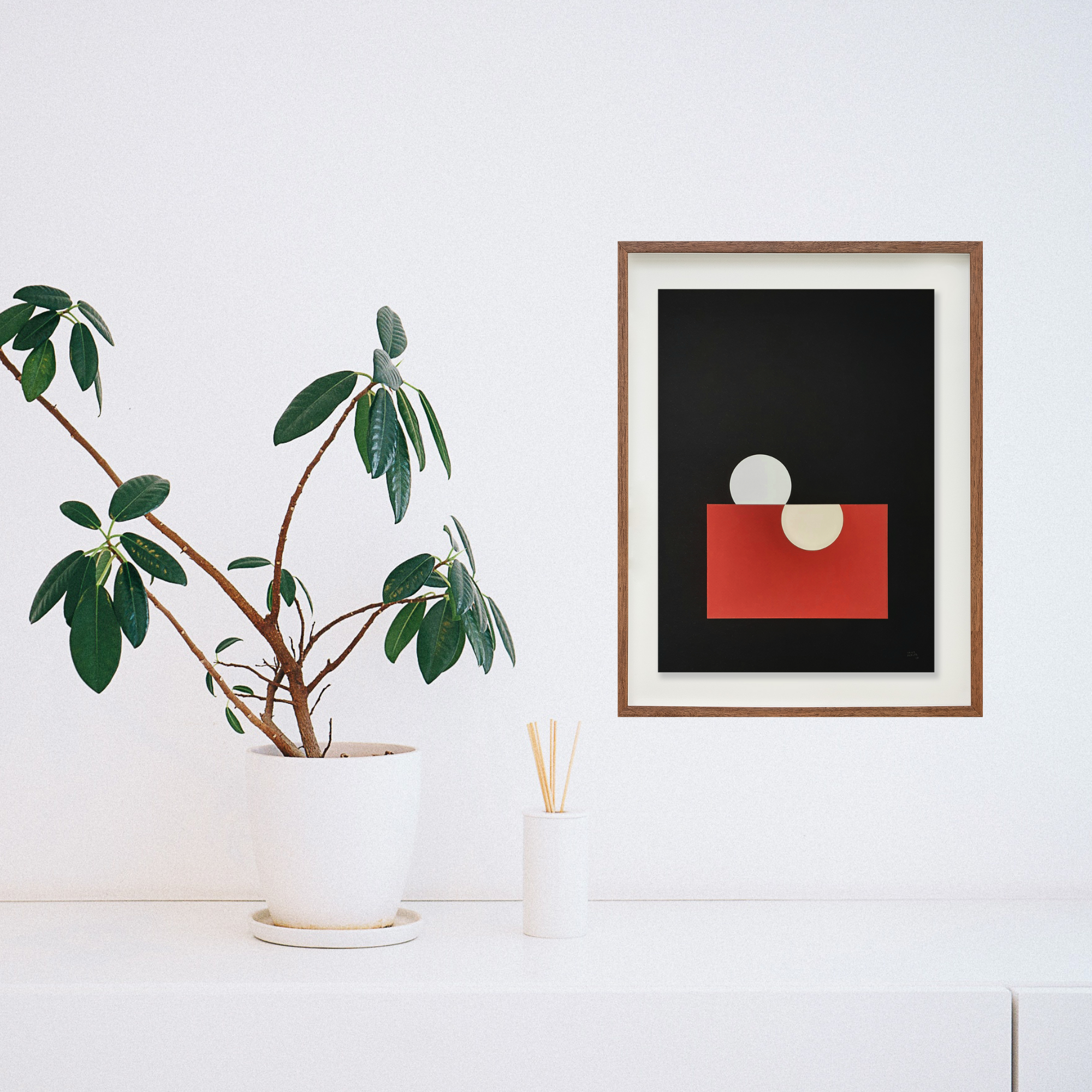 Círculos // Cassia Aresta