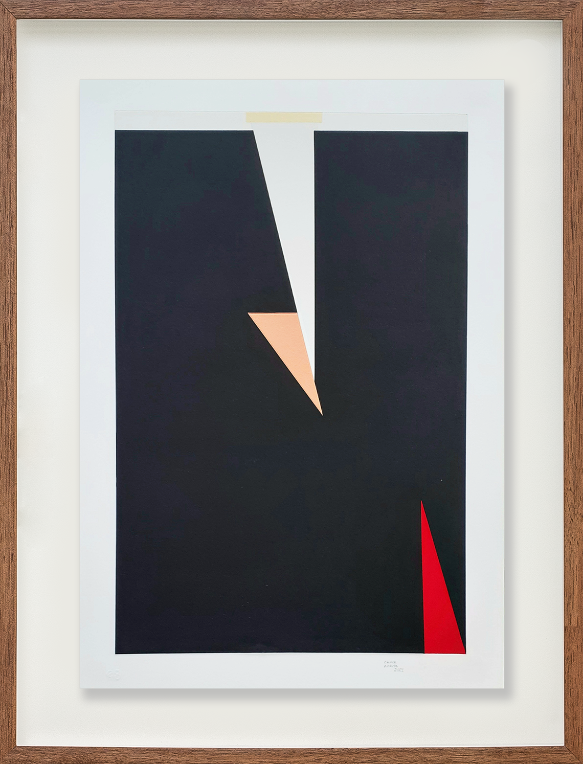 Colagem sobre serigrafia 9 // Cassia Aresta