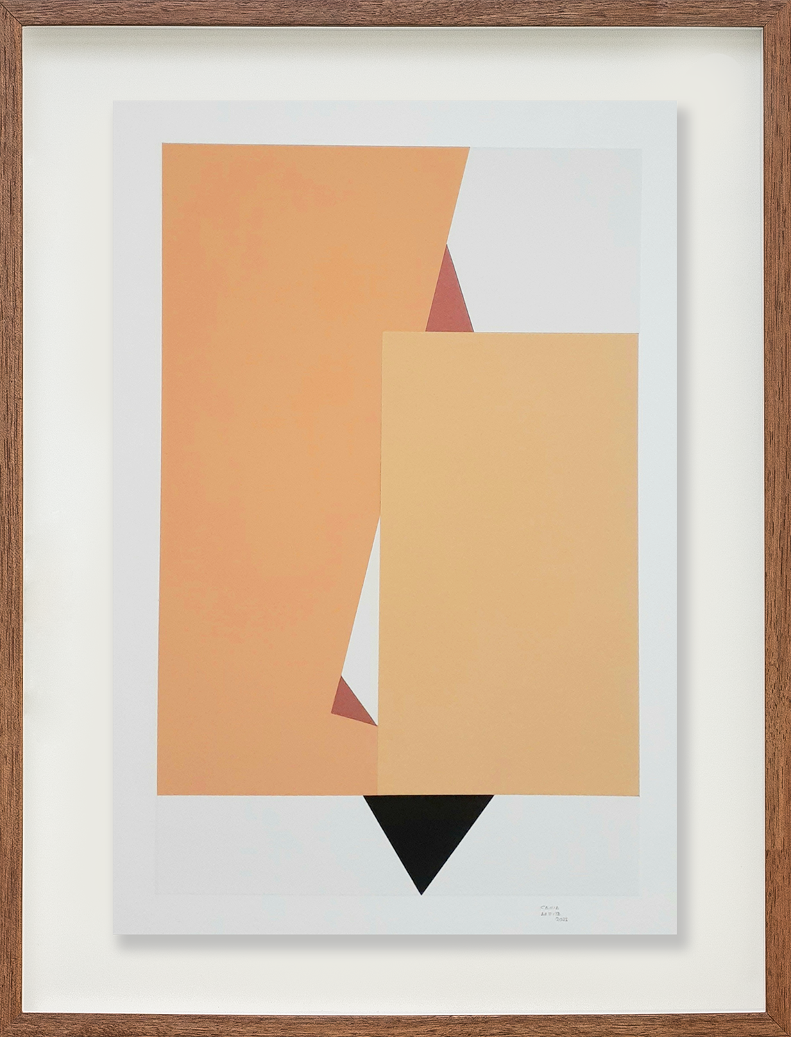 Colagem sobre serigrafia 11 // Cassia Aresta