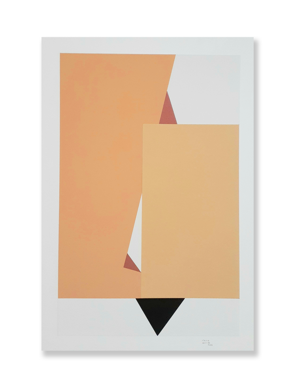 Colagem sobre serigrafia 11 // Cassia Aresta