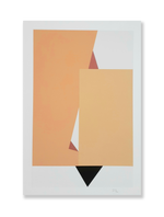 Colagem sobre serigrafia 11 // Cassia Aresta