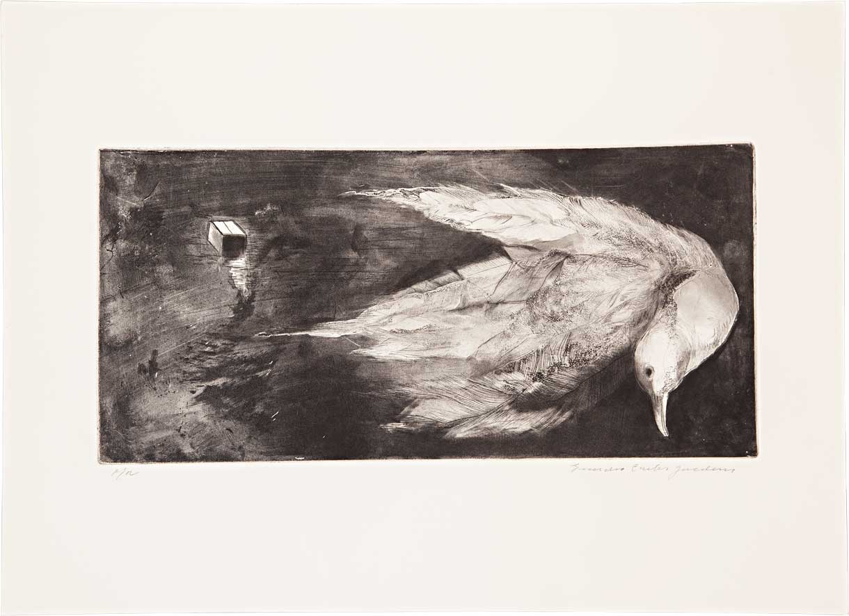 Série 'Uma revista da praia' // Evandro Carlos Jardim