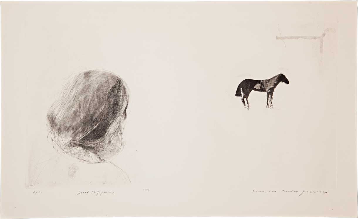 Série 'Abril / 2 figuras' // Evandro Carlos Jardim