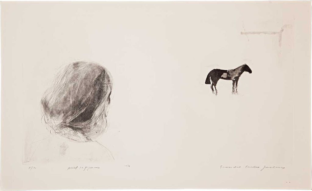 Série 'Abril / 2 figuras' // Evandro Carlos Jardim