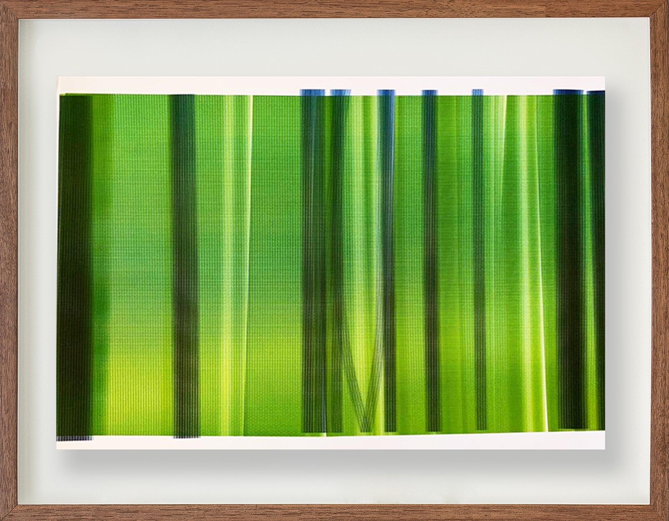 Sem título // Isabel Gouveia