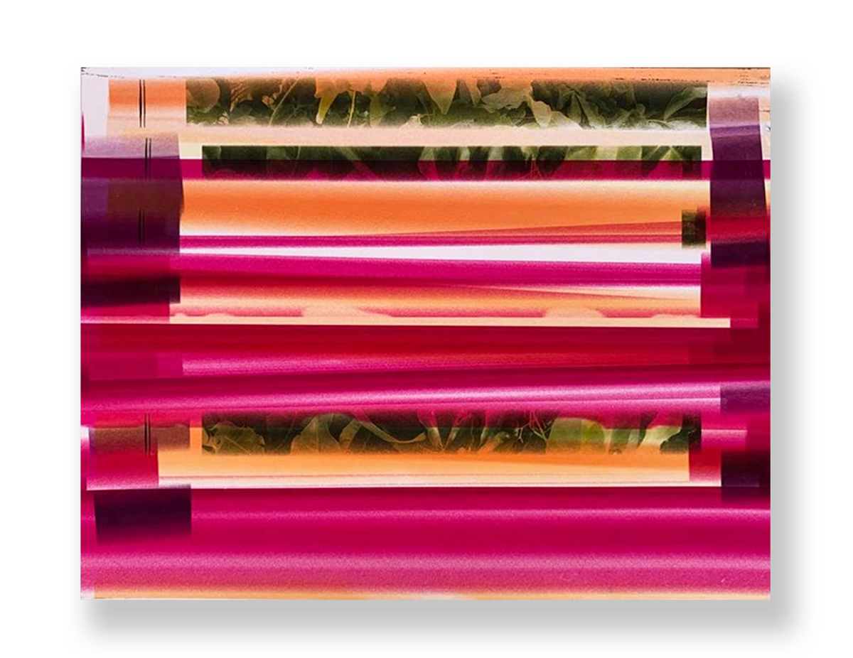 Sem título // Isabel Gouveia