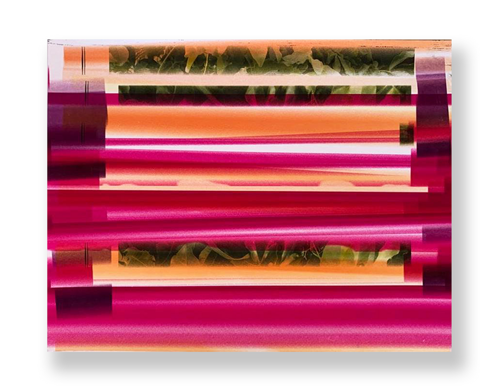 Sem título // Isabel Gouveia