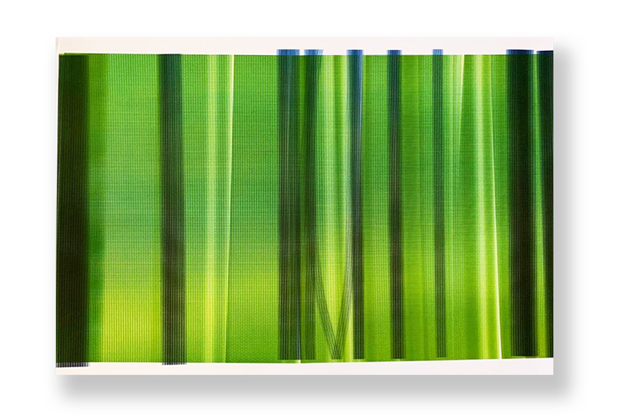 Sem título // Isabel Gouveia