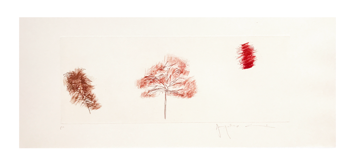 Passagem // Jacqueline Aronis