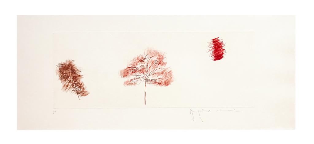 Passagem // Jacqueline Aronis