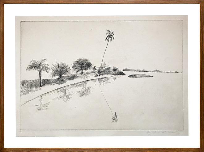 Rio // Jacqueline Aronis