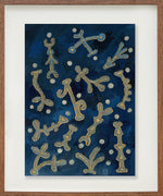 Sem título // Jaime Prades