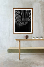 La Lira // Eleonora Aronis