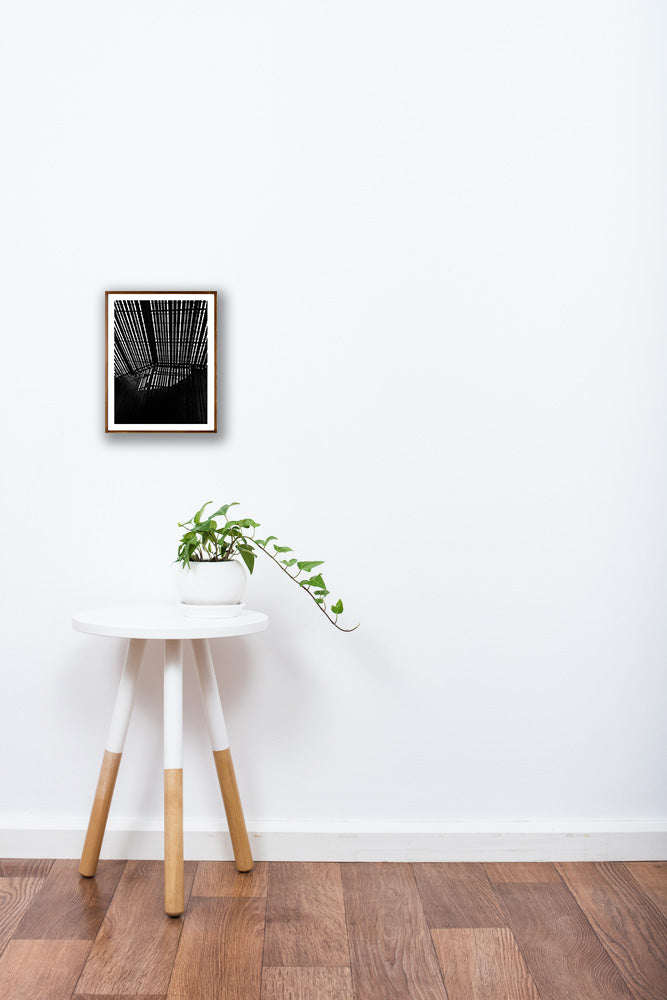 La Lira // Eleonora Aronis