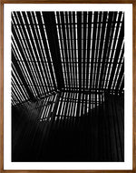 La Lira // Eleonora Aronis