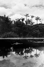 Pará // Eleonora Aronis