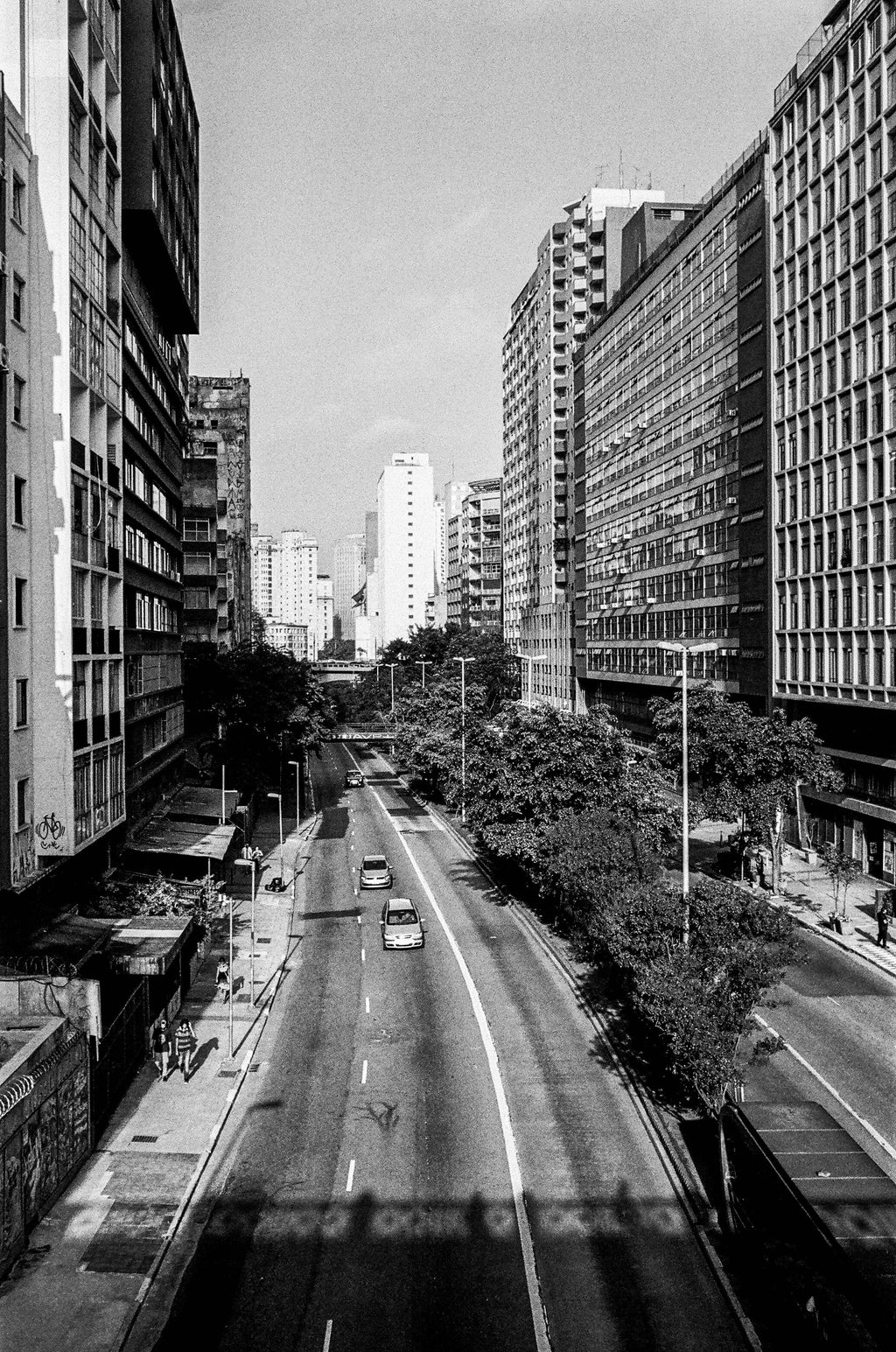 Avanhandava // Eleonora Aronis