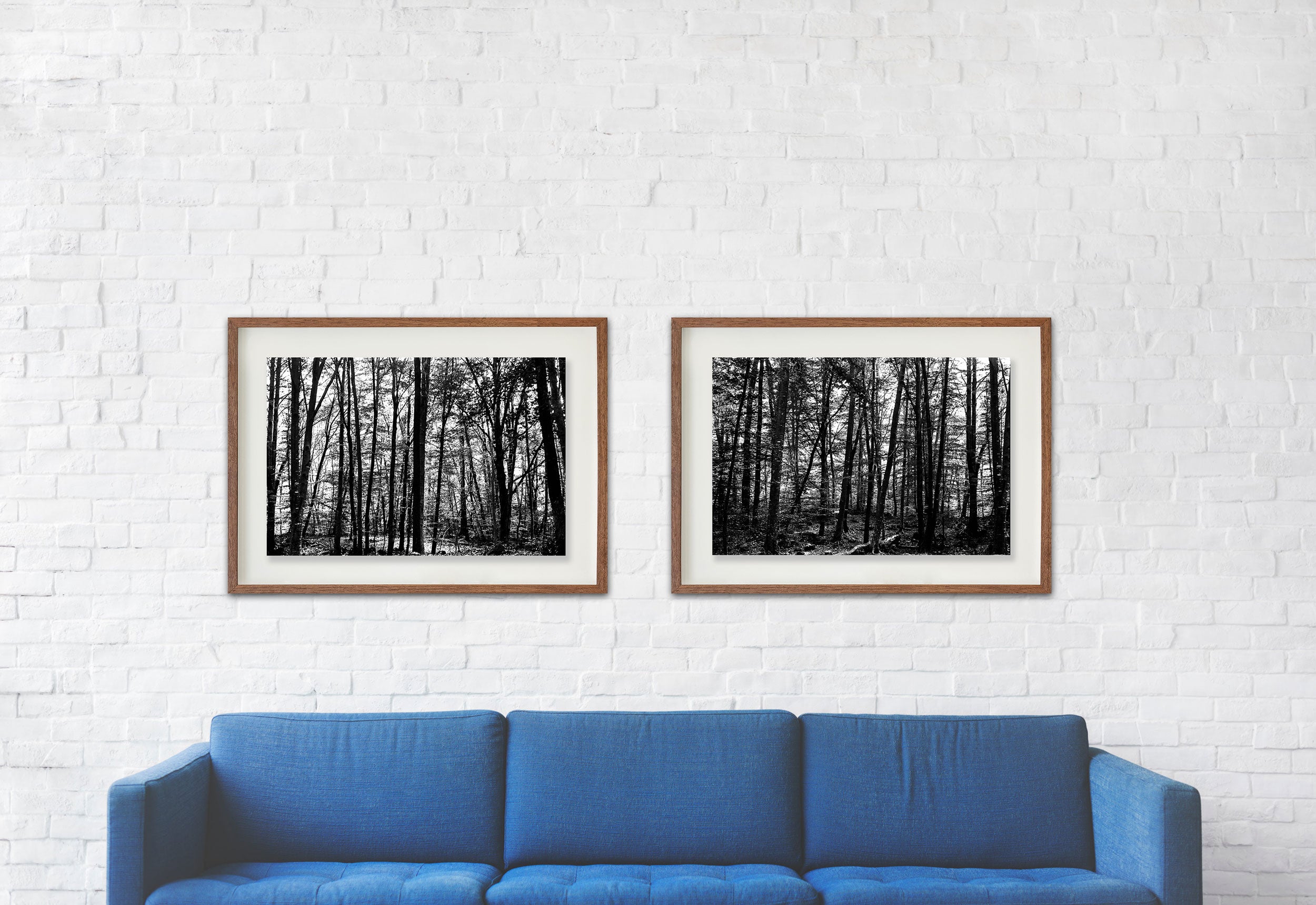 La Fageda 3 // Eleonora Aronis