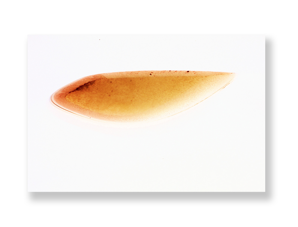 Lagoa II // Eleonora Aronis