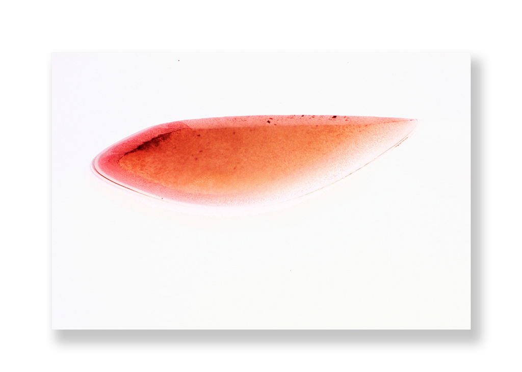 Lagoa III // Eleonora Aronis