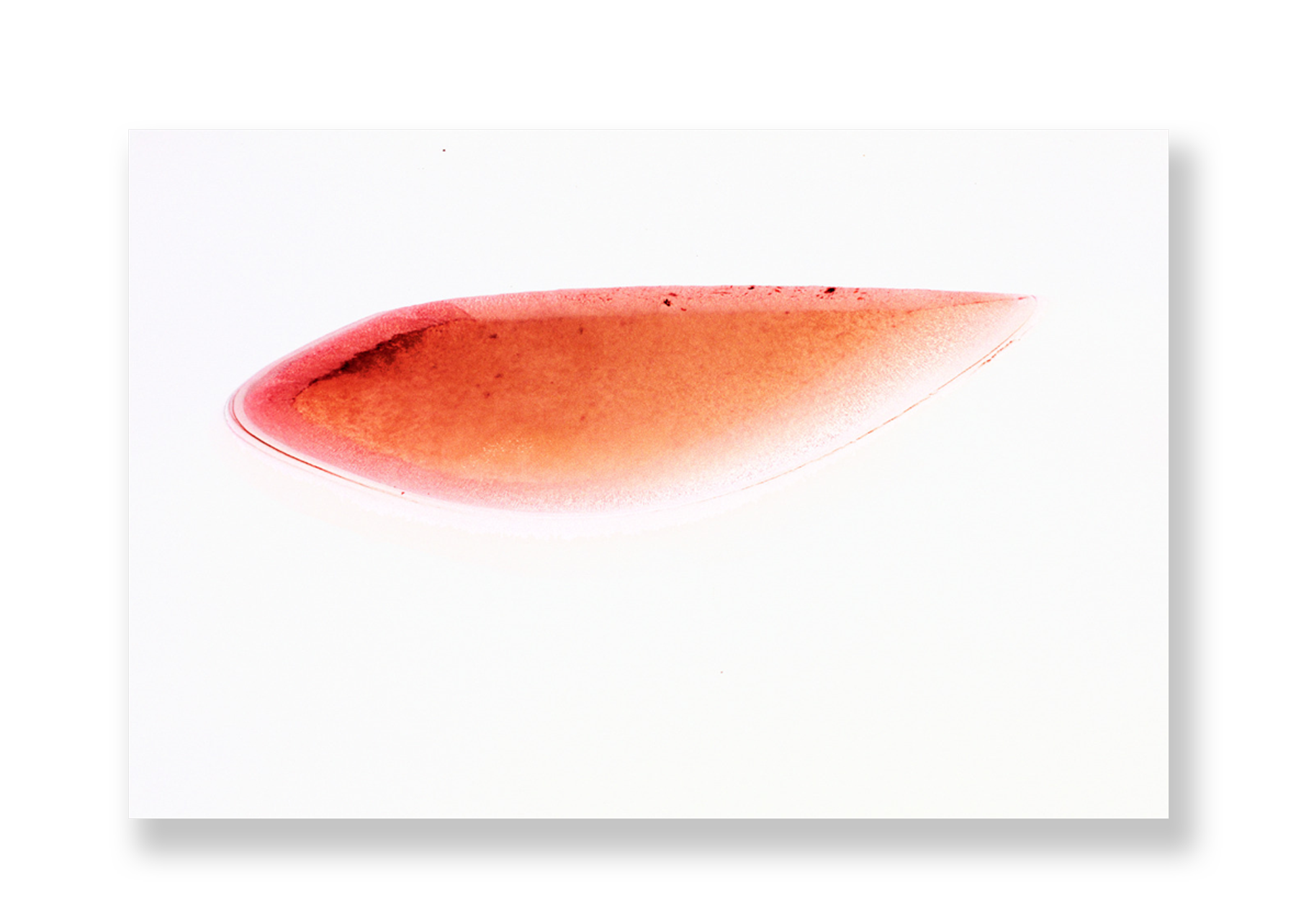 Lagoa III // Eleonora Aronis