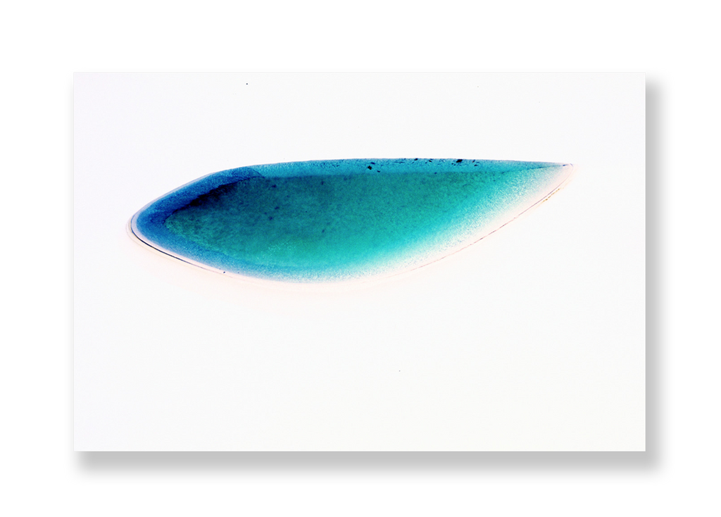 Lagoa IV // Eleonora Aronis