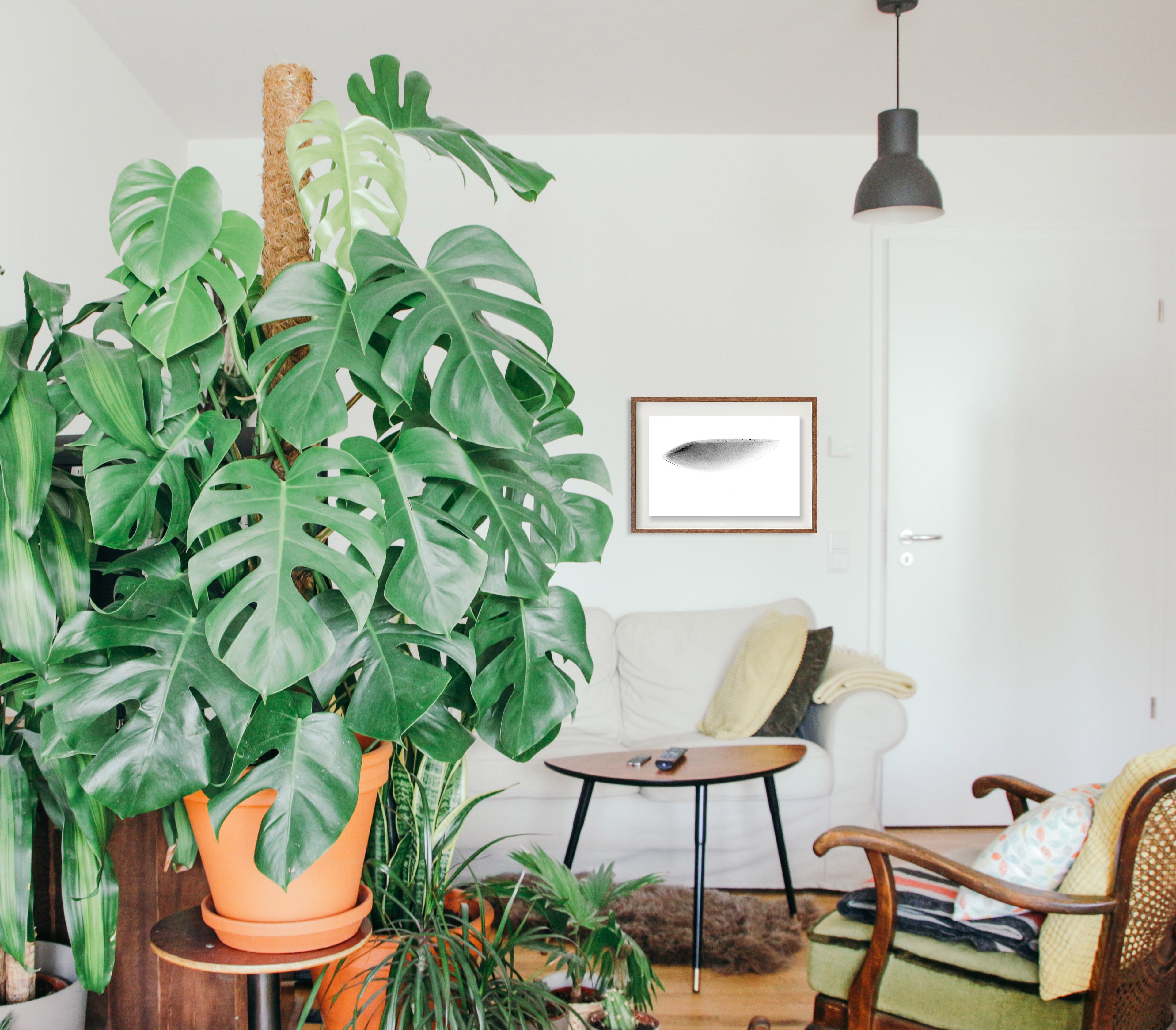 Lagoa V // Eleonora Aronis