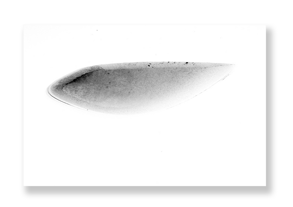 Lagoa V // Eleonora Aronis