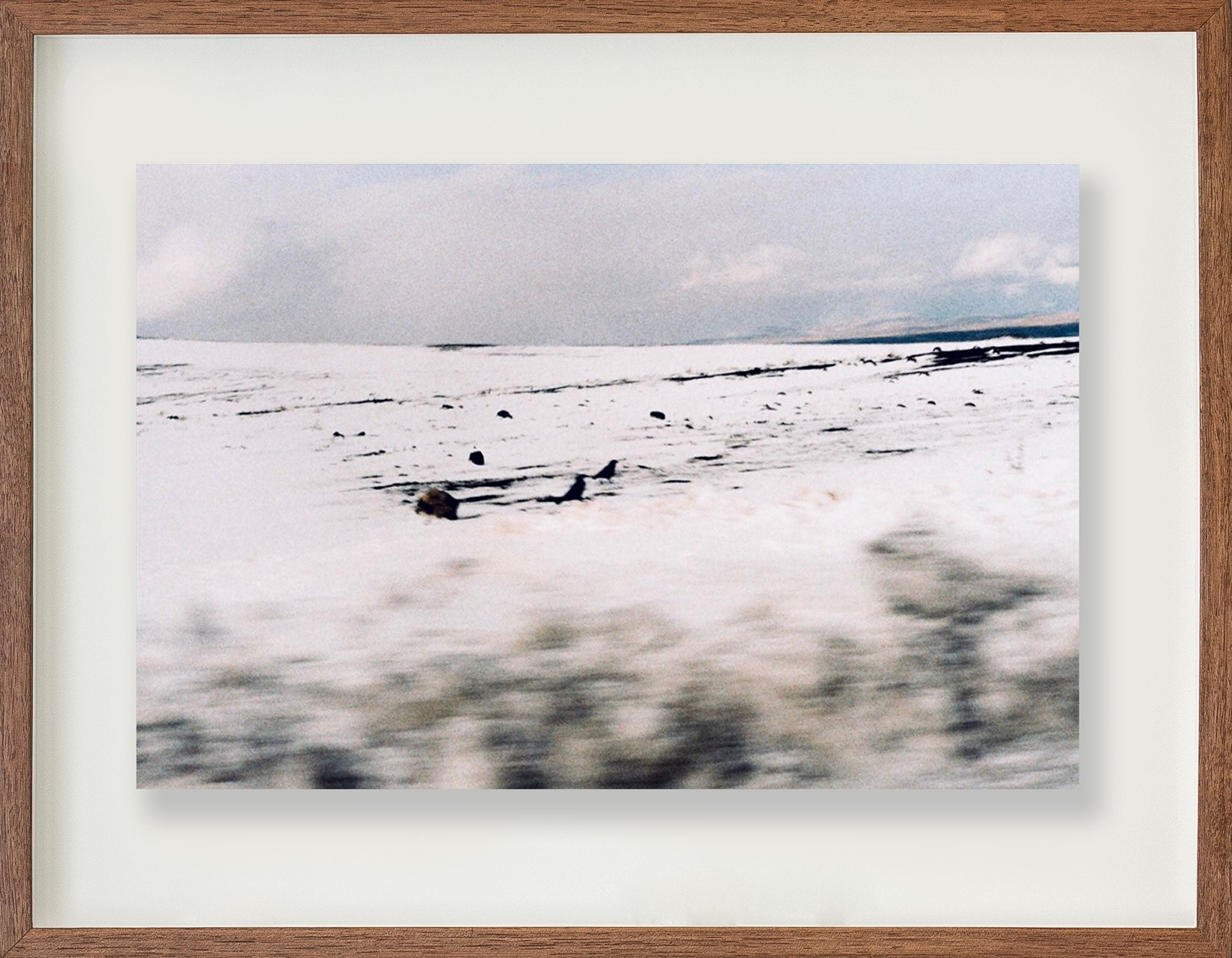 Sem título // Eleonora Aronis