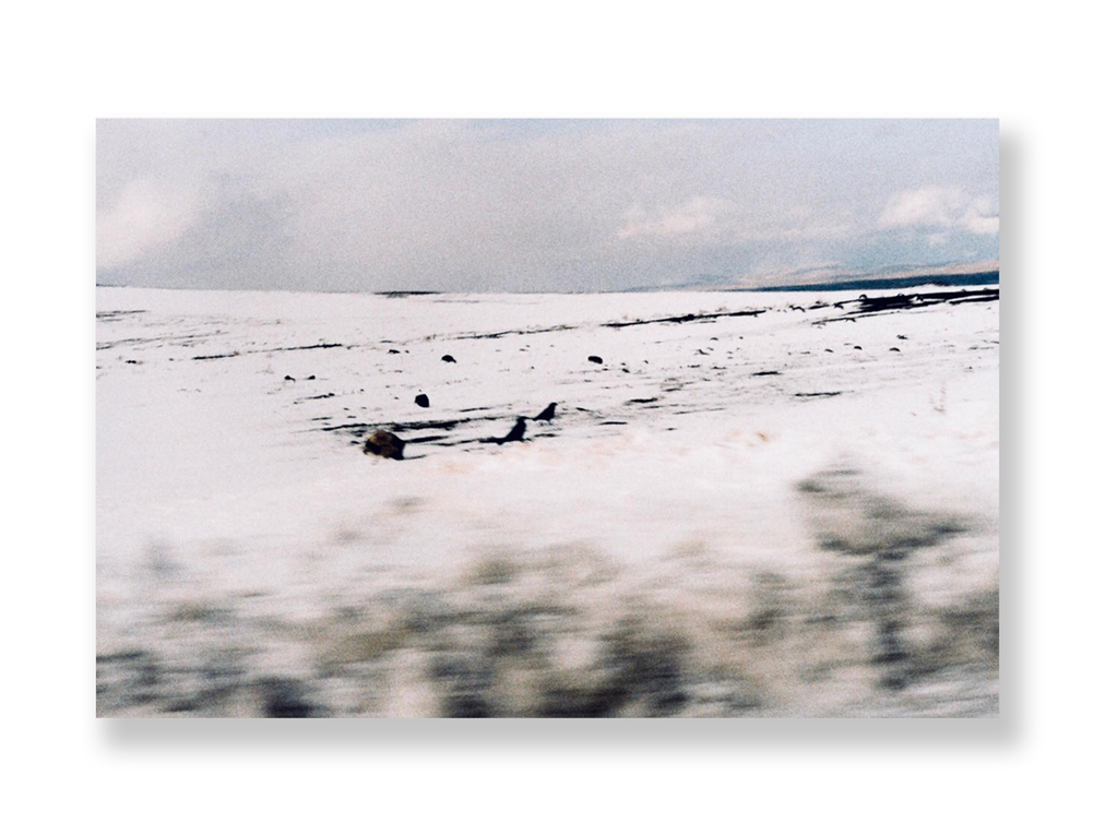 Sem título // Eleonora Aronis