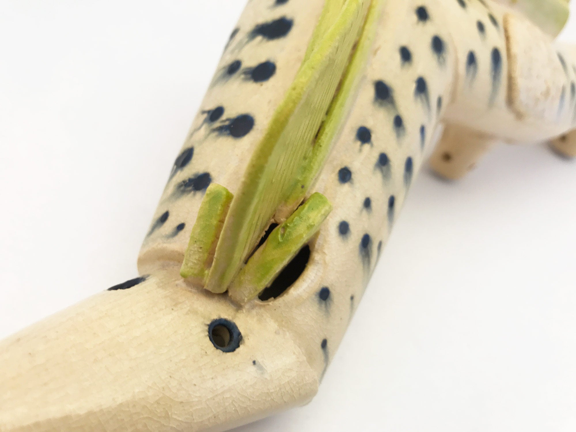 Bicho // Norma Grinberg