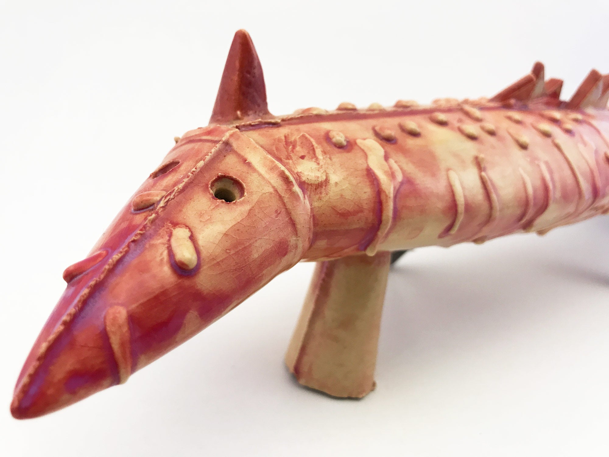 Bicho // Norma Grinberg