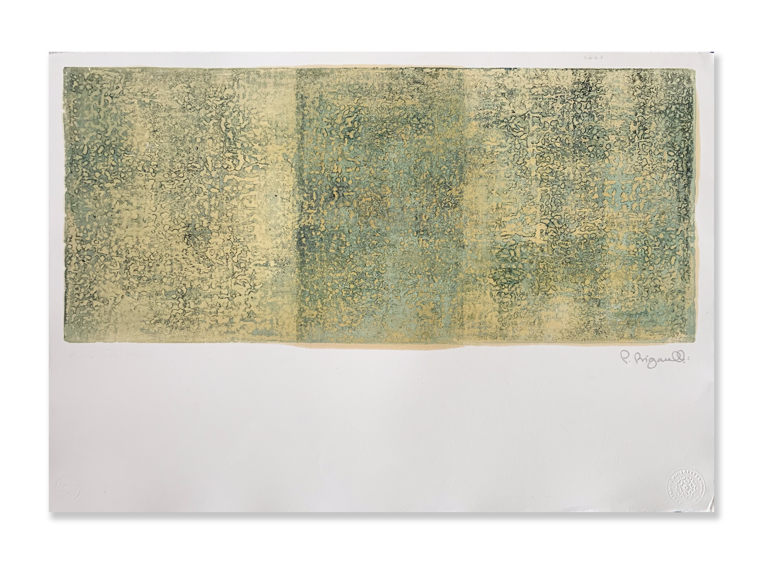 Sem título // Patricia Bigarelli