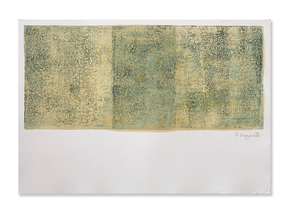 Sem título // Patricia Bigarelli