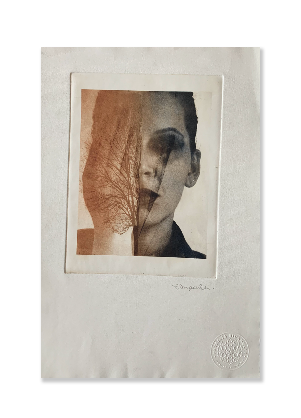 Sem título // Patricia Bigarelli